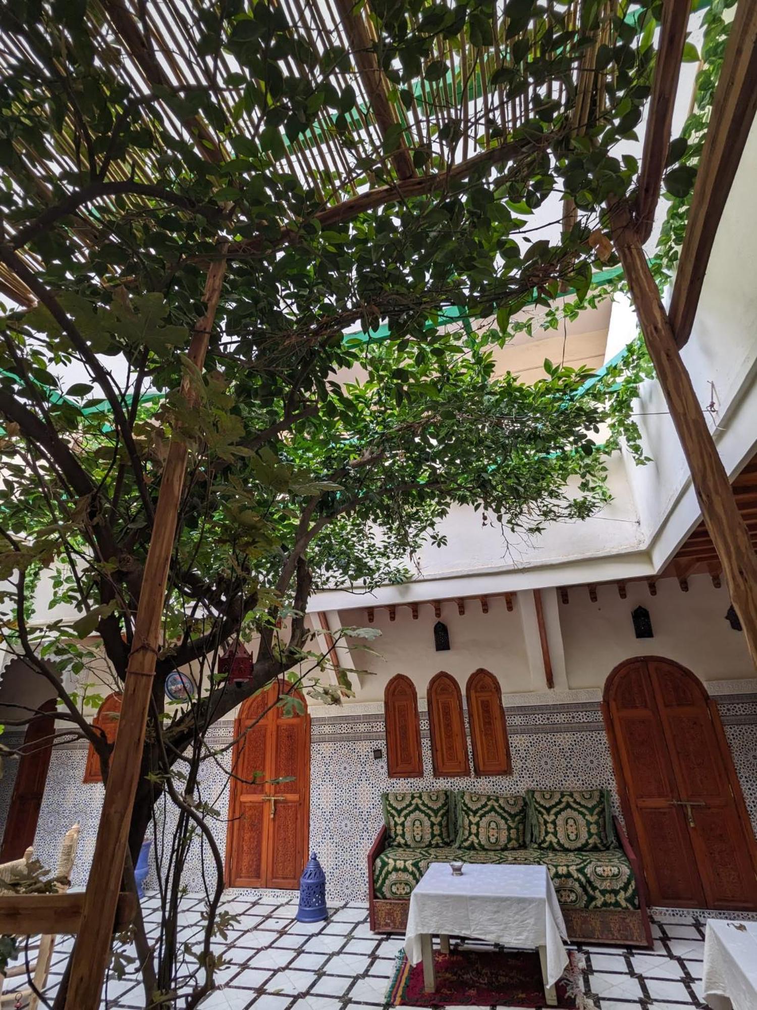 Riad Amirwa مراكش المظهر الخارجي الصورة